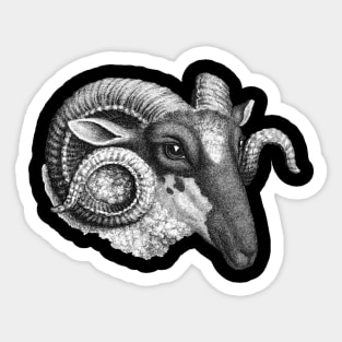 Profile of a Ram Sticker